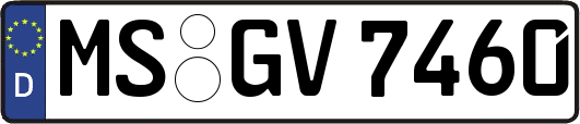MS-GV7460