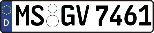 MS-GV7461