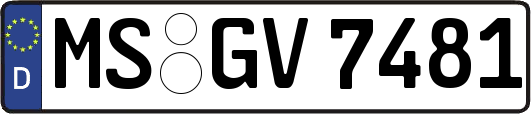 MS-GV7481