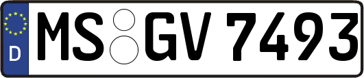 MS-GV7493
