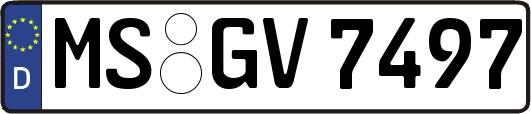 MS-GV7497
