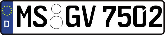 MS-GV7502