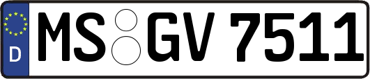 MS-GV7511