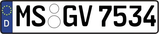 MS-GV7534