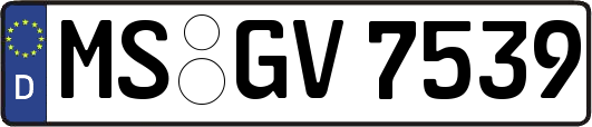 MS-GV7539