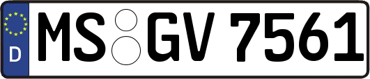 MS-GV7561
