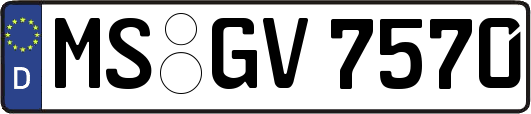 MS-GV7570