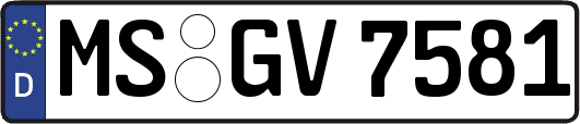 MS-GV7581