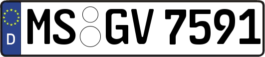 MS-GV7591