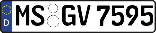 MS-GV7595