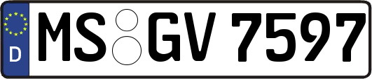 MS-GV7597