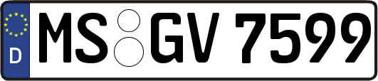 MS-GV7599