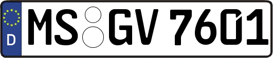MS-GV7601