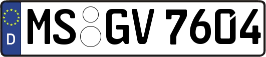 MS-GV7604