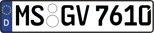 MS-GV7610