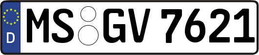 MS-GV7621