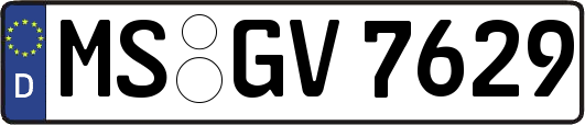 MS-GV7629