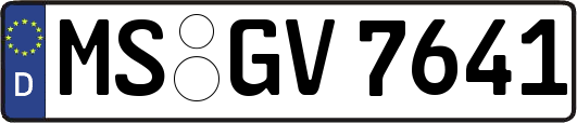 MS-GV7641