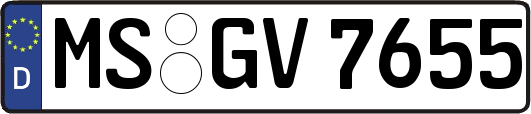 MS-GV7655