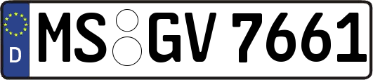 MS-GV7661