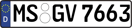 MS-GV7663