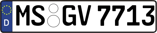 MS-GV7713