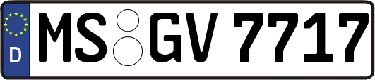 MS-GV7717
