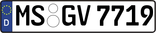 MS-GV7719