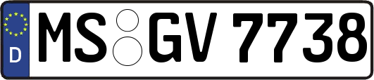 MS-GV7738