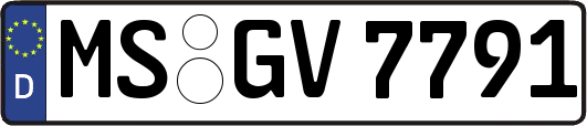 MS-GV7791