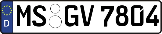 MS-GV7804