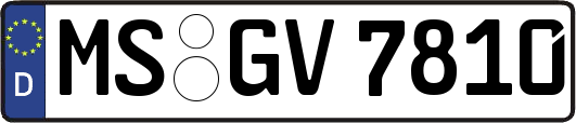 MS-GV7810