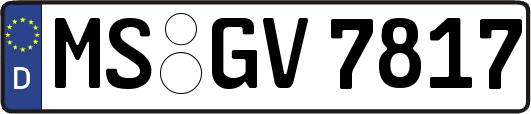 MS-GV7817