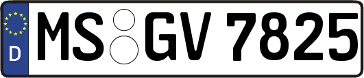 MS-GV7825