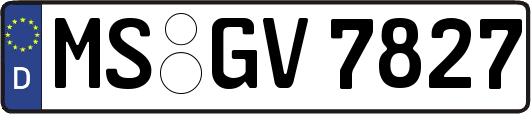 MS-GV7827