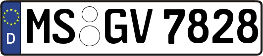 MS-GV7828