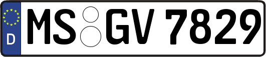 MS-GV7829