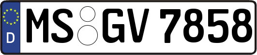 MS-GV7858