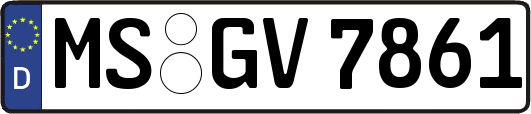 MS-GV7861
