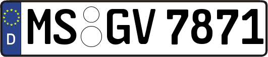 MS-GV7871