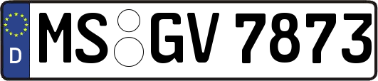 MS-GV7873