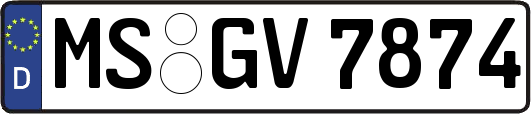 MS-GV7874