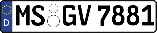 MS-GV7881