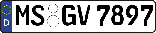 MS-GV7897