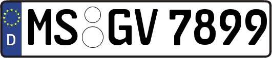 MS-GV7899