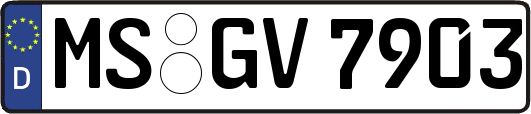 MS-GV7903