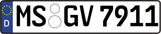 MS-GV7911