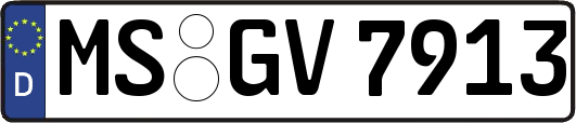MS-GV7913