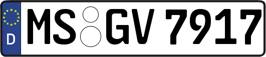 MS-GV7917