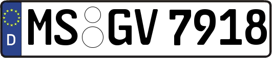 MS-GV7918